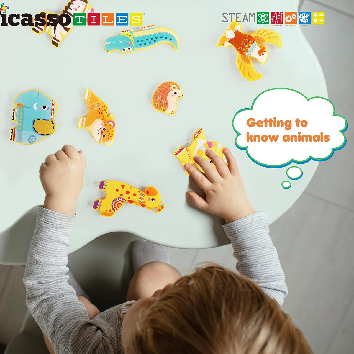 Picasso Magnetic Blocks Safari Animals 8-Pieces