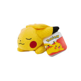 Pokemon Plush Sleeping