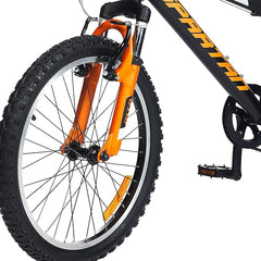 Spartan 20 - Inch Kids Mountain Bike - Panther