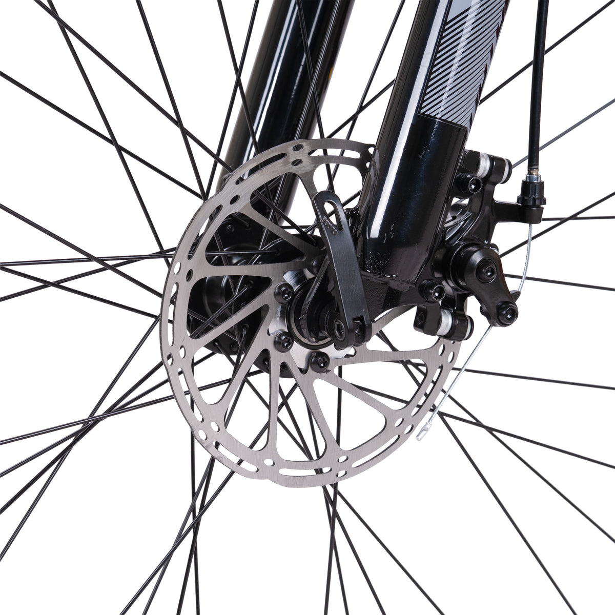 Spartan 29 Inch Blue Mountain Bike - Viper Hardtail