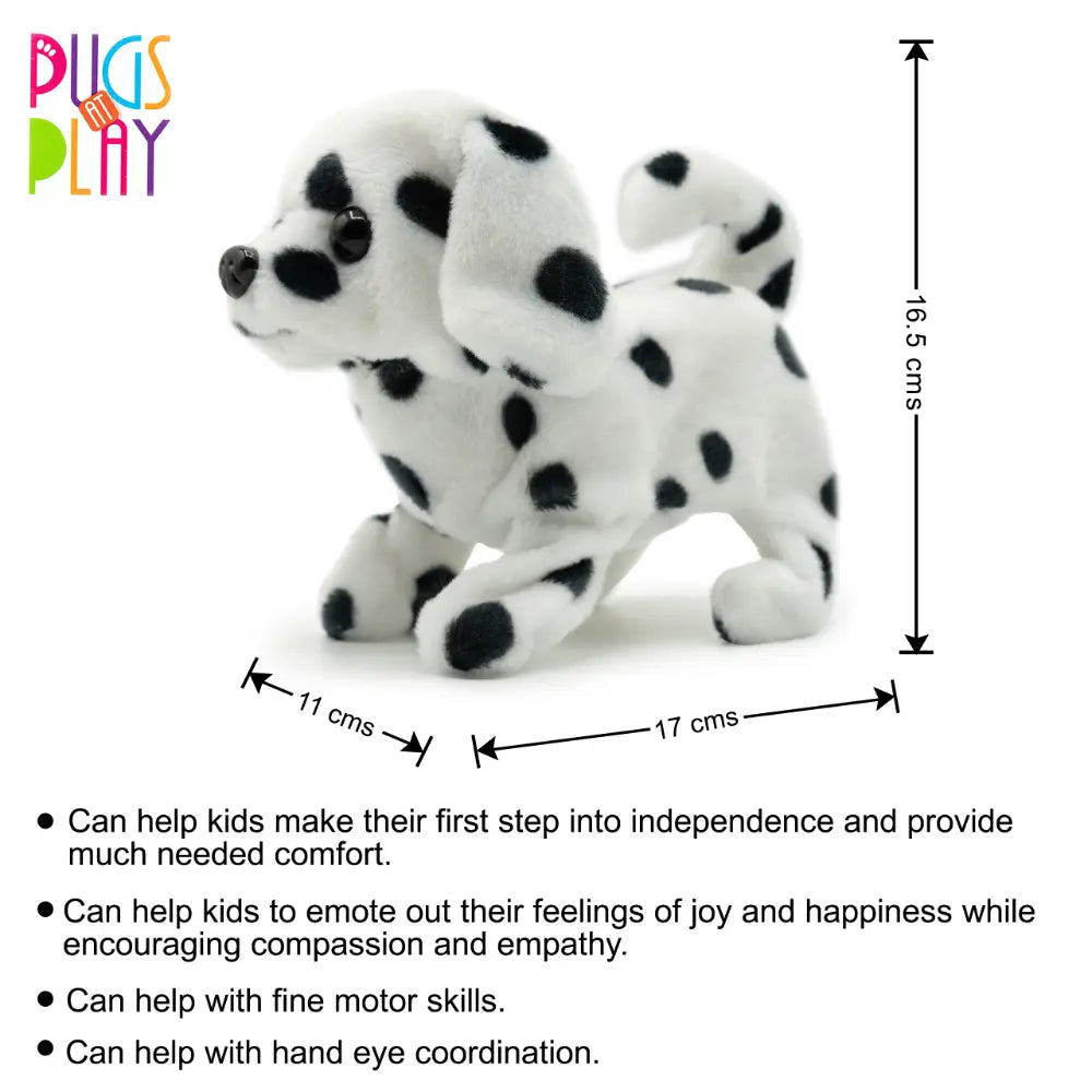Pugs At Play Walking Spotty 6.5 B/O