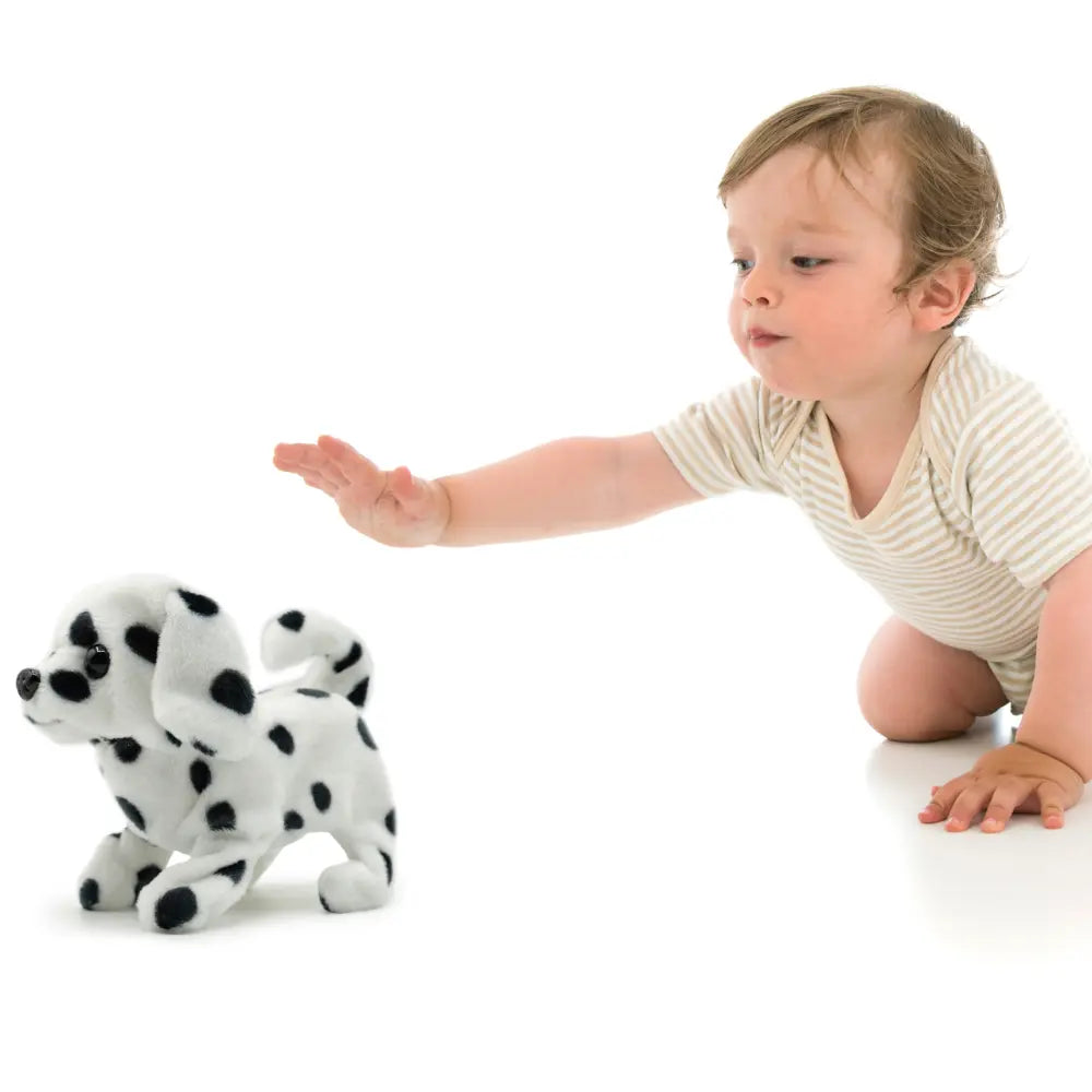 Pugs At Play Walking Spotty 6.5 B/O