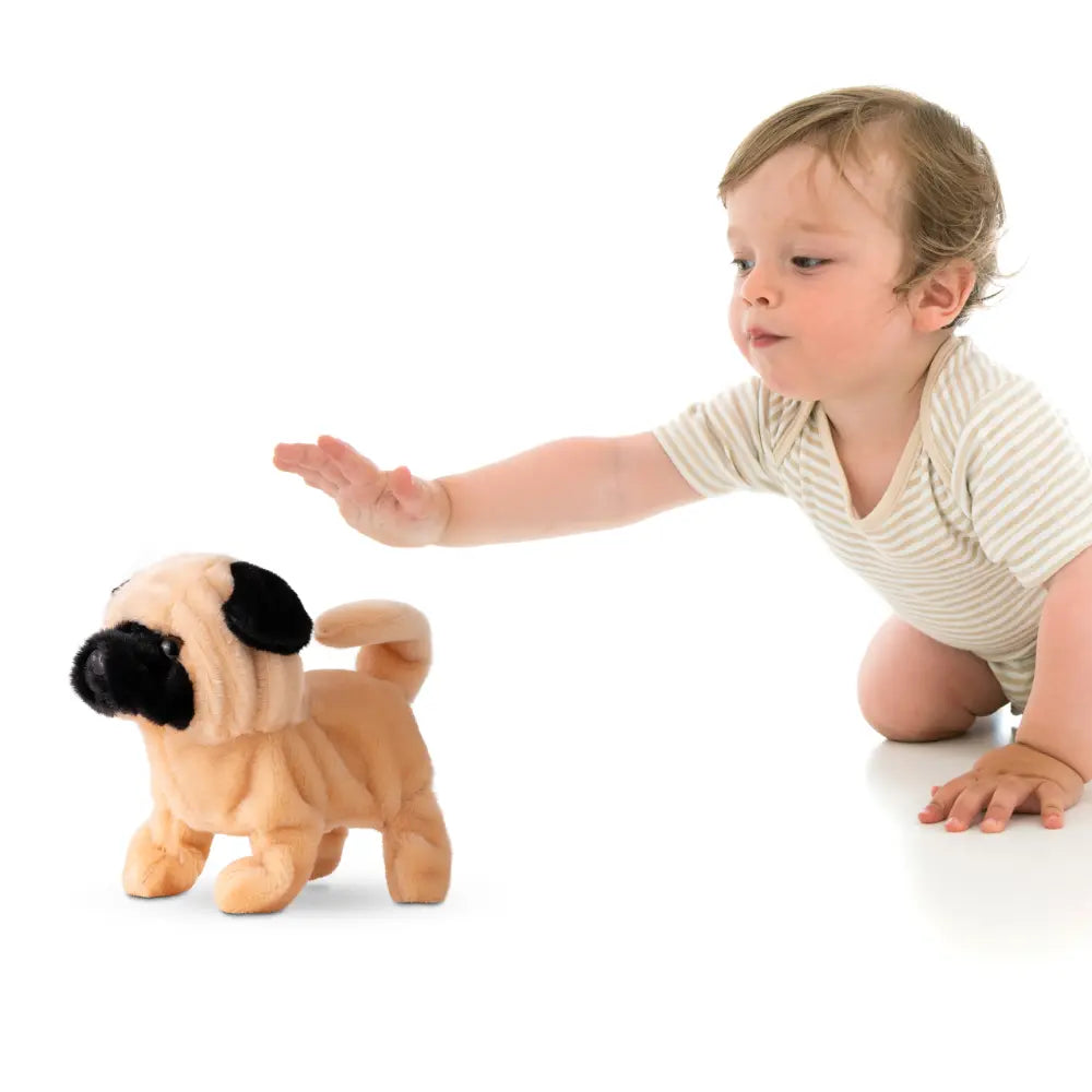 Pugs At Play Walking Pug 6.5 Inch Battery Operated