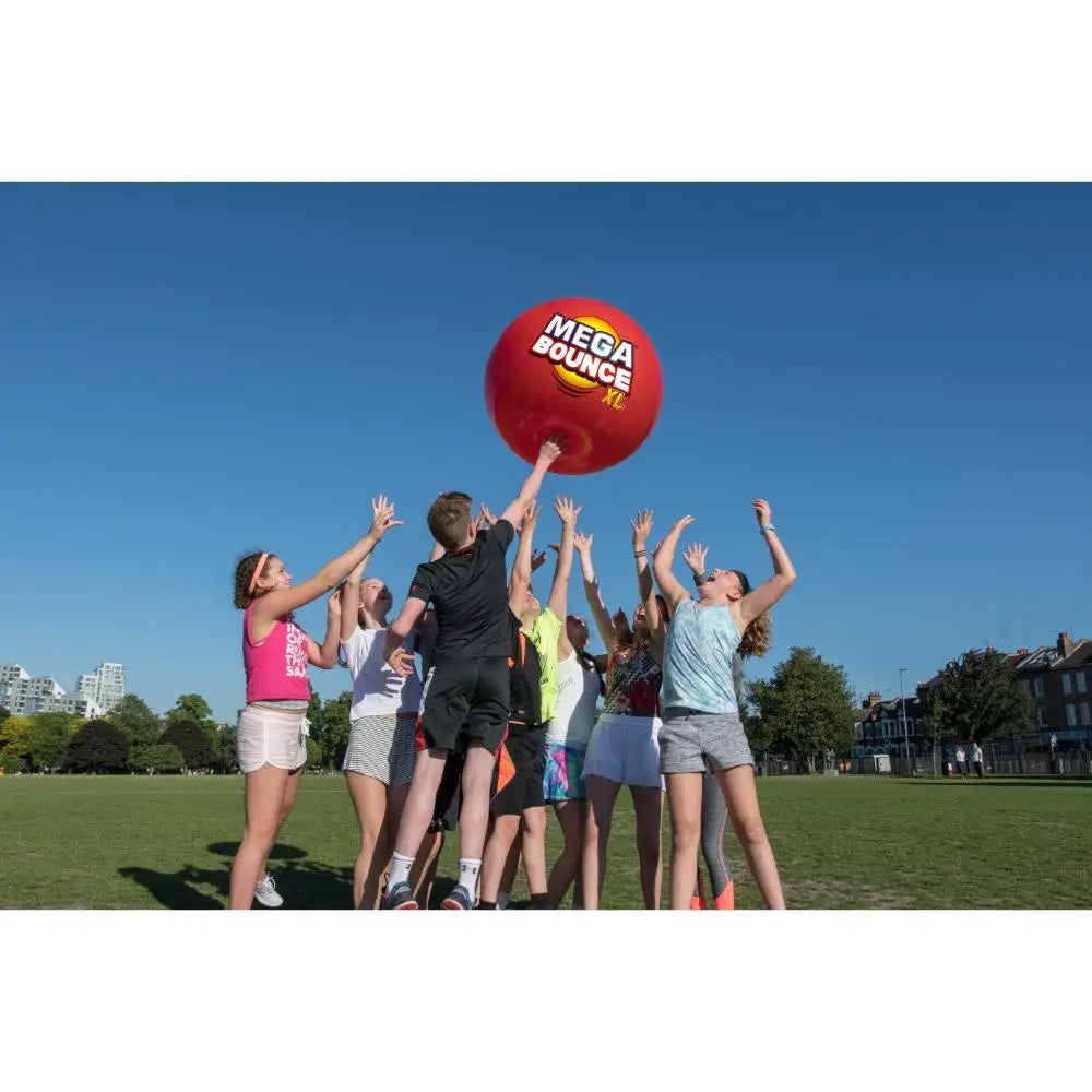 Wicked Megabounce XL 251cm 2Asst