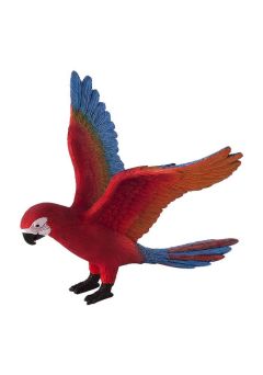 Toy School Parrot
