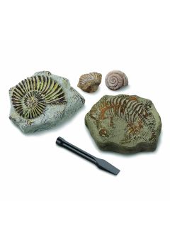 Discovery Toy Excavation Kit Mini Fossil 2pc